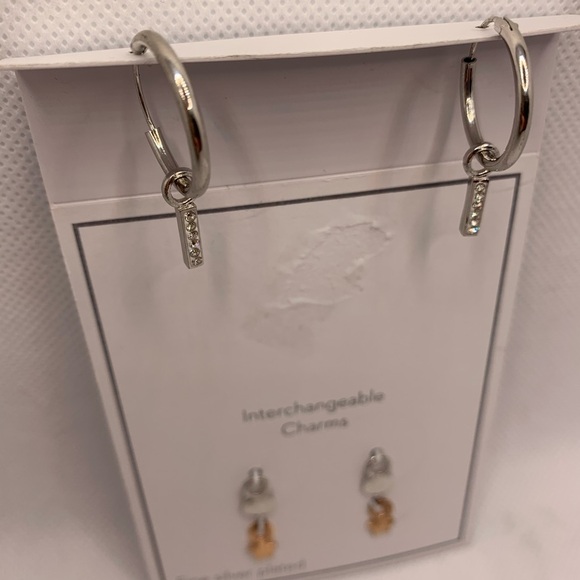 Gold and Silver Interchangeable Earrings Set with Charms - Picture 4 of 8